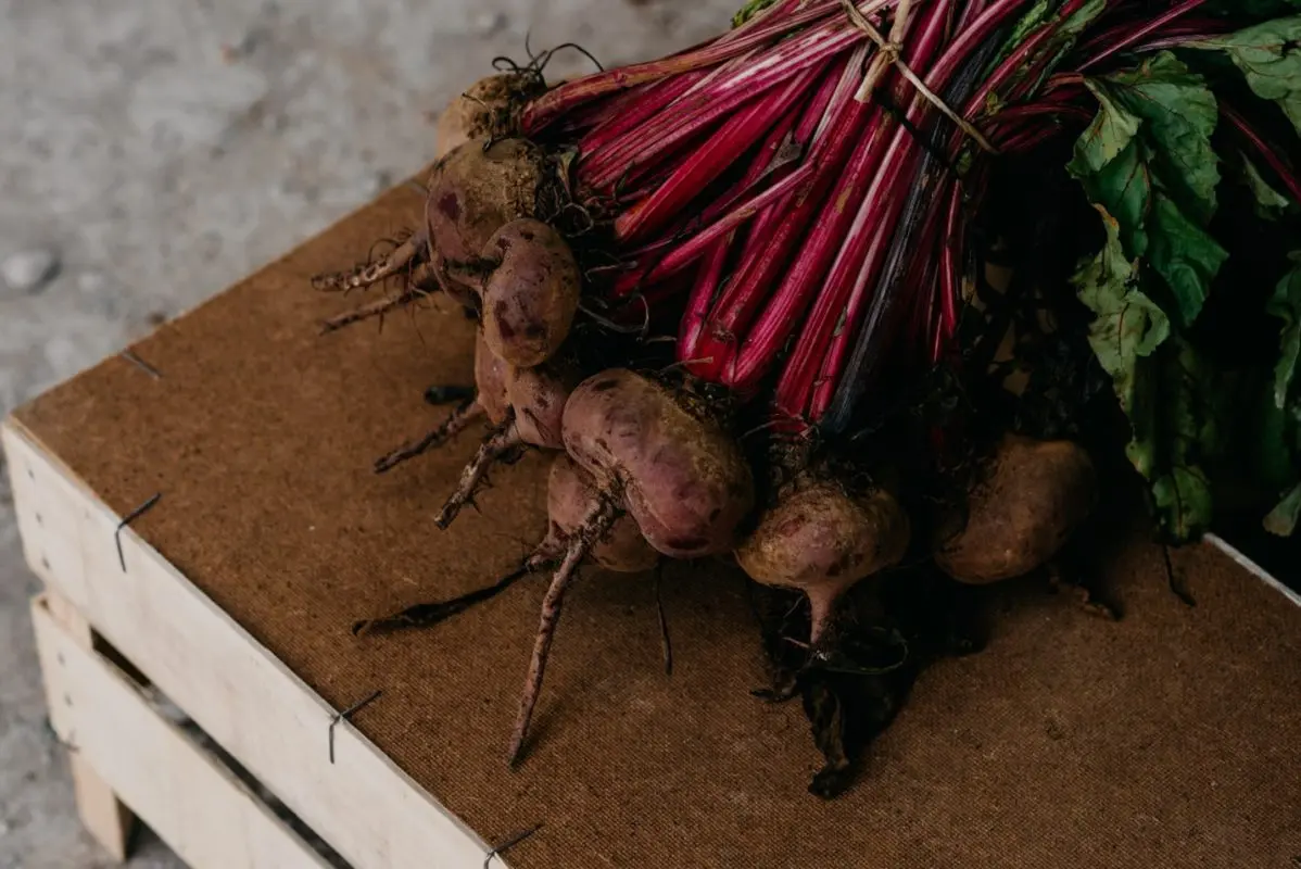 How does Beetroot help the body?