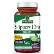 Nature's Answer, Slippery Elm Bark, 350mg, 90 Kapseln