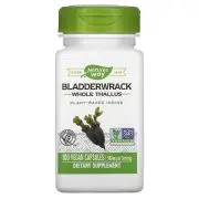 Nature's Way, Bladderwrack Whole Thallus, 580 mg, 100 Veg. Kapseln