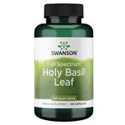 Holy Basil 1